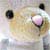 Create a Bear Children's Party