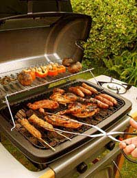 Barbecue Garden Party Entertaining